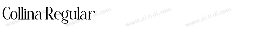 Collina Regular字体转换